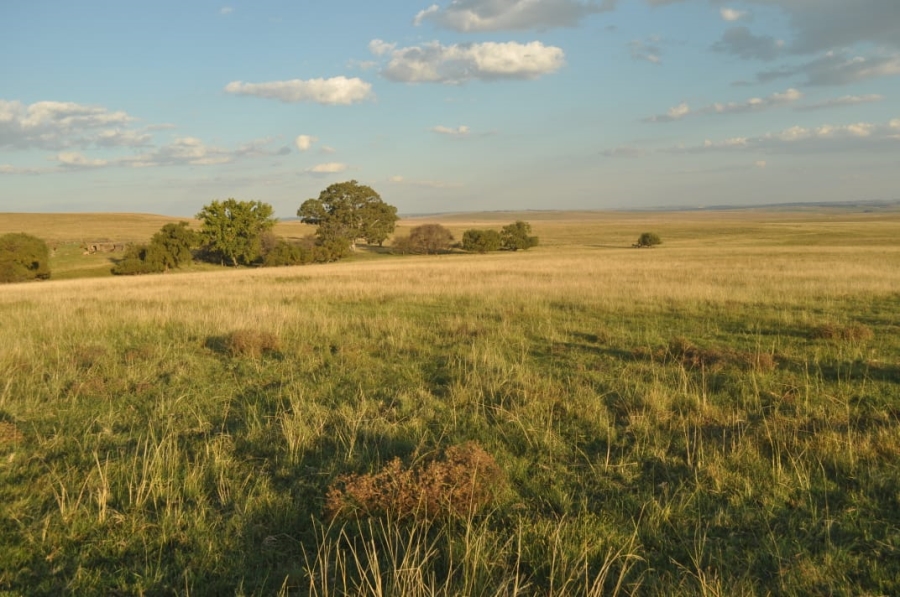 5 Bedroom Property for Sale in Reitz Rural Free State